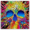 Abstract Colorful Skull panels paint by numbers