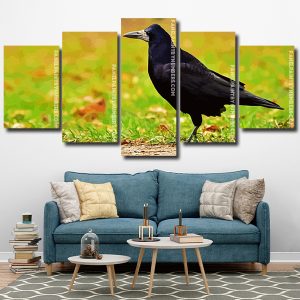 Aesthetic Rook Bird Animal pannels paint by numbers