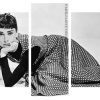 aesthetic audrey hepburn Panels paint by numbers