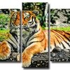 aesthetic tiger Panels paint by numbers