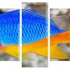 azure damselfish Panels paint by numbers