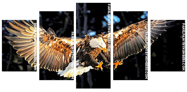 bald eagle Flying Panels paint by numbers