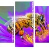 Bee On A Purple Flower panels paint by numbers