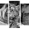 black and white tiger panels paint by numbers