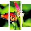 butterfly In flower plant panels paint by numbers