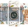 cute retro camera panels paint by numbers