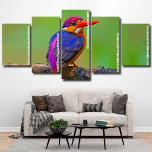 Dwarf Kingfisher panels paint by numbers