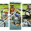 easy rider movie Panels paint by numbers