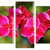 fuchsia Gladiola Panels paint by numbers