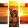 kangaroo in Queensland beach at sunset Panels paint by numbers