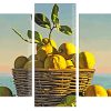 Lemons Basket panels paint by numbers