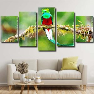 long tailed Quetzal bird on a branch Panel paint by numbers