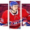 montreal canadiens Habs Player panels paint by numbers