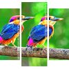 Oriental Dwarf Kingfisher Birds panels paint by numbers