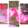 pink Gladiola flowers Panels paint by numbers