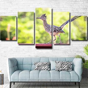 road runner bird animal Panel paint by numbers