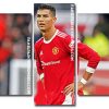 The Footballer Cristiano Ronaldo panels paint by numbers