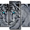 tiger with blue eyes Panels paint by numbers