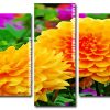 yellow Dahlia flowers panels paint by numbers