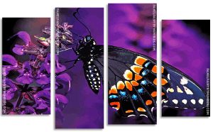 Swallowtail Butterfly Panel paint by numbers