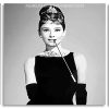 Actress audrey hepburn Panels paint by numbers