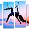 Aerial Silks Silhouette Panel paint by numbers