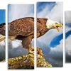 Aesthetic Bald Eagle Panel paint by numbers