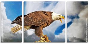 Aesthetic Bald Eagle Panel paint by numbers