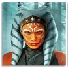 Ahsoka Tano Panels paint by numbers