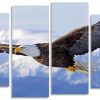 American Bald Eagle Flying Panel paint by numbers