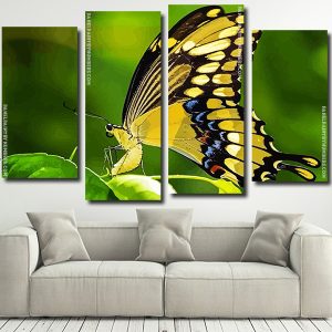 Anise swallowtail Butterfly Panel paint by numbers