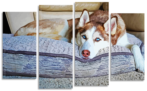 Siberian Husky panels paint by numbers