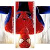 The Amazing Spider Man 2 Panel paint by numbers