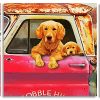 Puppies On a Truck Puppies panels paint by numbers