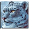 Snow Leopard 3 Panels Paint By Numbers