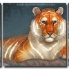 Light Tiger 3 Panels Paint By Numbers