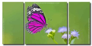 Aesthetic Purple Butterfly 3 Panels Paint By Numbers