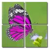 Aesthetic Purple Butterfly Square Panels Paint By Numbers