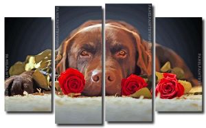 Chocolate Labrador And Roses 4 Panels Paint By Numbers