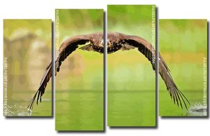 Eagle Art 4 Panels Paint By Numbers