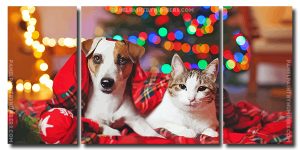 Jack Russell Terrier and Kitty Enjoying Christmas Evening 3 Panels Paint By Numbers