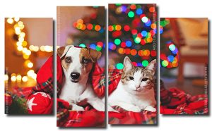 Jack Russell Terrier and Kitty Enjoying Christmas Evening 4 Panels Paint By Numbers