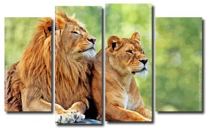 Lion and Lioness 4 Panels Paint By Numbers