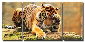 Lonely Tiger 3 Panels Paint By Numbers