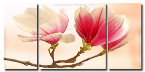 Magnolia Flowering Plant 3 Panels Paint By Numbers