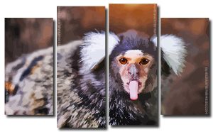 Marmoset Animal 4 Panels Paint By Numbers