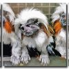 Marmosets 3 Panels Paint By Numbers