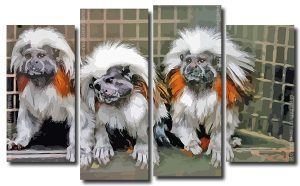 Marmosets 4 Panels Paint By Numbers