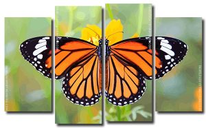 Monarch Butterfly Art 4 Panels Paint By Numbers