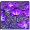 Purple Crocus 3 Panels Paint By Numbers